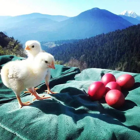 Ξενοδοχείο με διαμερίσματα Escapade Luxury Residences 4*