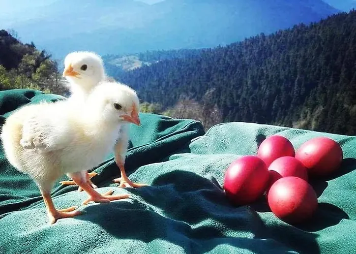 Ξενοδοχείο με διαμερίσματα Escapade Luxury Residences 4*